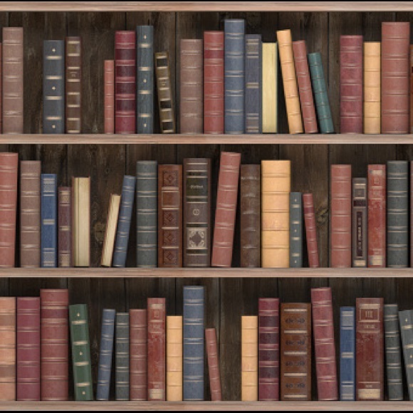 Meet your Posher, Cecelia - Picture 1 of 1